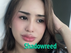 Shadowreed