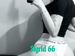 Sigrid_66