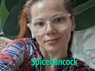 Spicebancock
