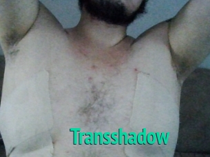 Transshadow