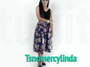 Tsnomercylinda