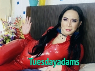 Tuesdayadams