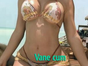 Vane_cum