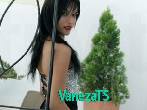 VanezaTS