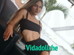 Vidadollche