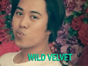 WILD_VELVET
