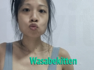 Wasabekitten
