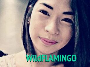 WildFLAMINGO