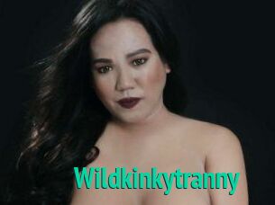 Wildkinkytranny