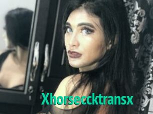 Xhorseccktransx
