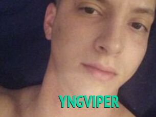 YNGVIPER