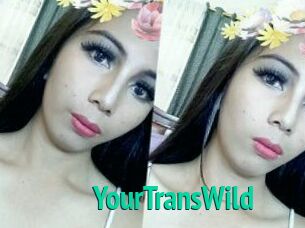 YourTransWild