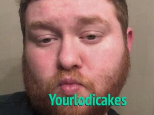 Yourlodicakes