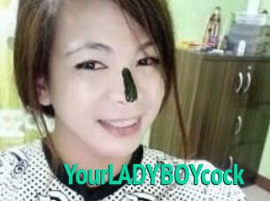 YourLADYBOYcock